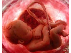 image_b049e932dcc60842e54219246e08ae1d