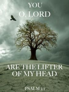 271d18dd9b1e8ff61a3f20fa9d107acf